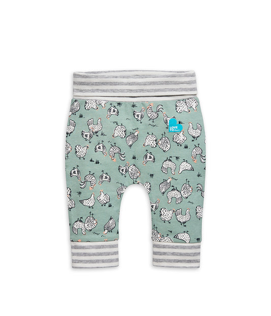 Leggings Cotton Olive Chicken Run