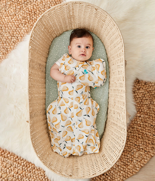 Swaddle Up™ Übergangspucksack