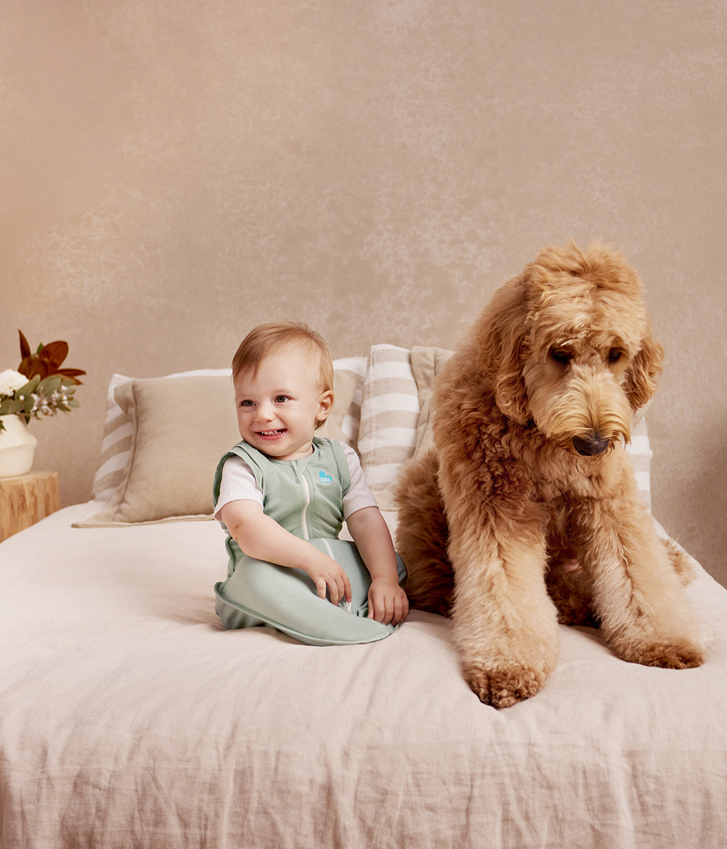 Swaddle Up™ Sacco nanna di transizione 0,2 TOG Cotone Oliva